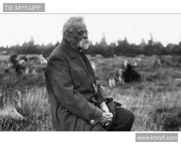 尼古拉武切维奇的艺术探索与对现代文化的影响分析